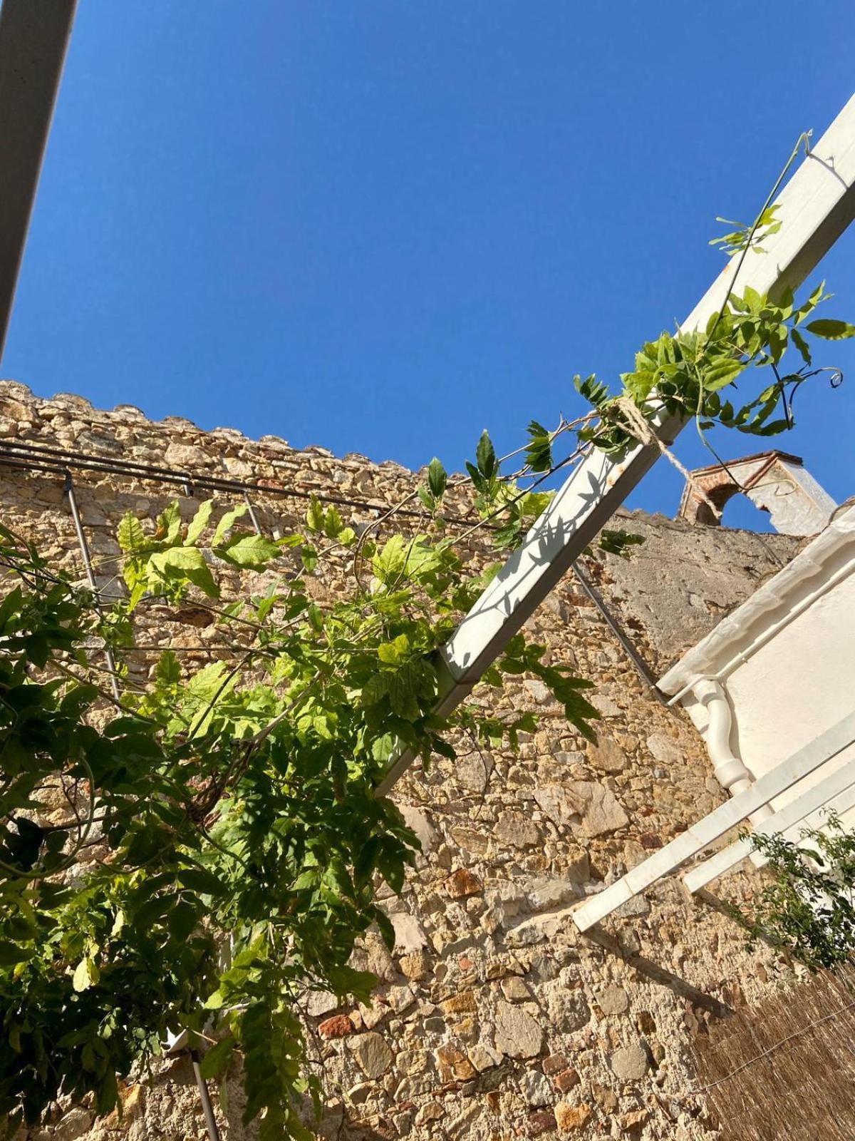 Ecoturisme Mas Ribas Otel Palamós Dış mekan fotoğraf